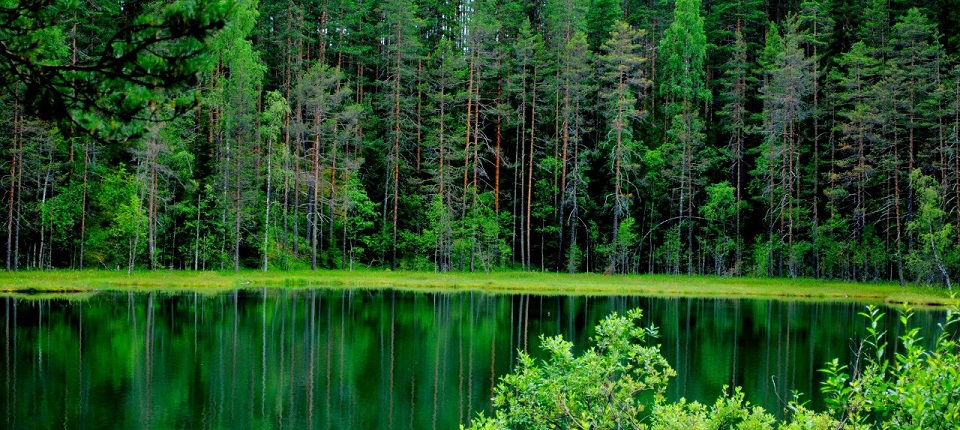 Отдых в Карелии летом